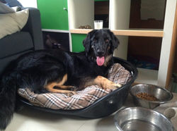 IMG_0327-e1480258674222