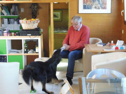 P1020339-e1481384274703