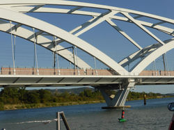 P1020220-e1480171059984