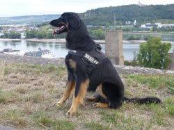 P1020782-e1481150777370