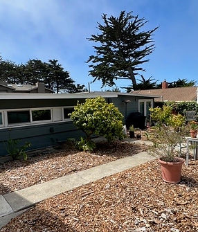 yard studio garage.jpg