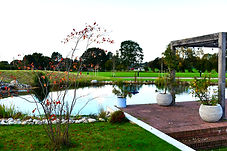 DSC_0723_edited.jpg