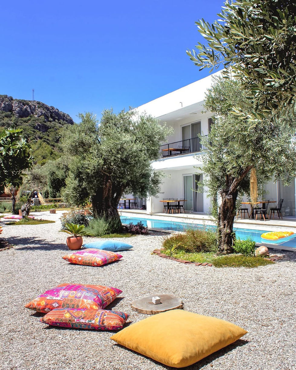 Gammi Hayıtbükü 1.jpg