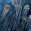 Thumbnail: The jellyfish ballet