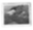 Timbre Aeroclub Issoudun 05.png