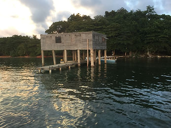 Clearwater Paradise Resort dock.