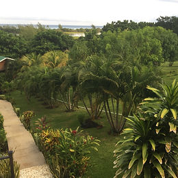 Clearwater Paradise Resort landscaping