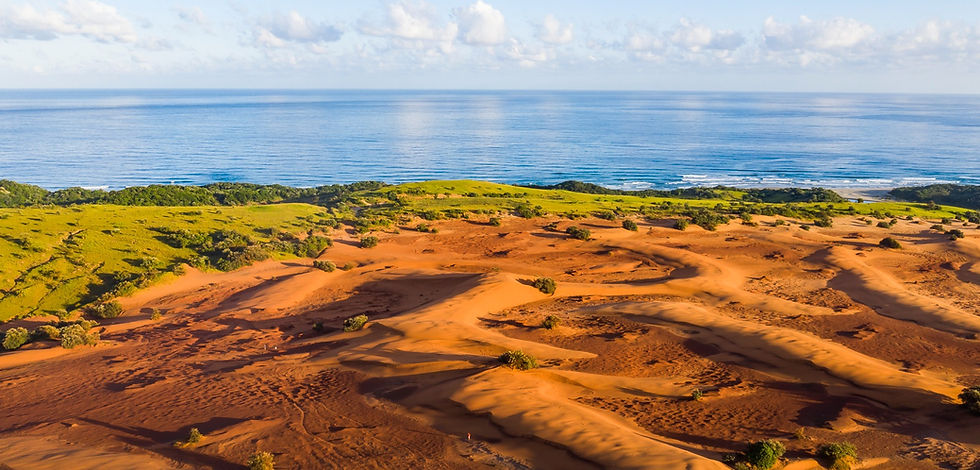 DJI_0295_edited.jpg