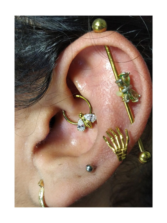 Various Ear piercings