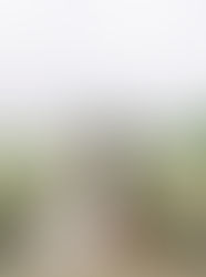 Terrill & Ray's Wedding Weekend | Camp Champions, Marble Falls