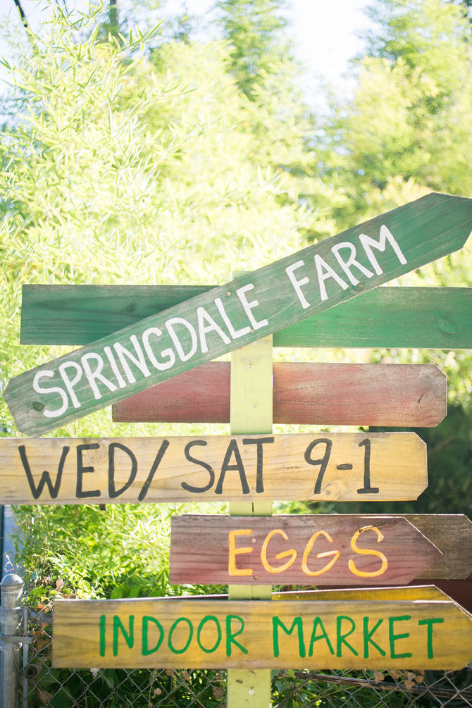 Farm-To-Table Wedding Inspiration