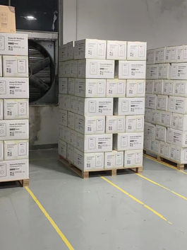 WhatsApp Image 2023-01-12 at 13.19.37.jpg