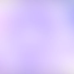 Espaço Vida no programa Saber Viver da TV Alterosa (SBT)