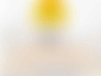 D.C.G. : Diplôme de Comptabilité et de Gestion