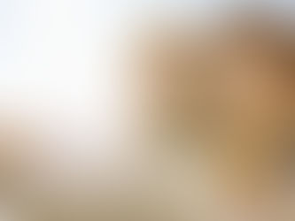 Focus on your commitment to Love.