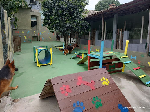 8132c0b2-0231-4128-81a0-00b28fd4dc93.jfif