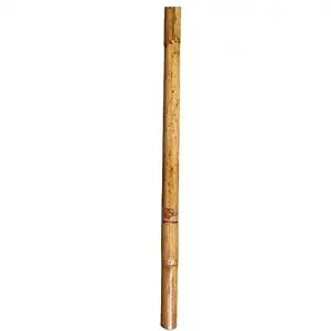 Silamabam 3 Feet Long Cane Stick, Three Feet Cane Stick