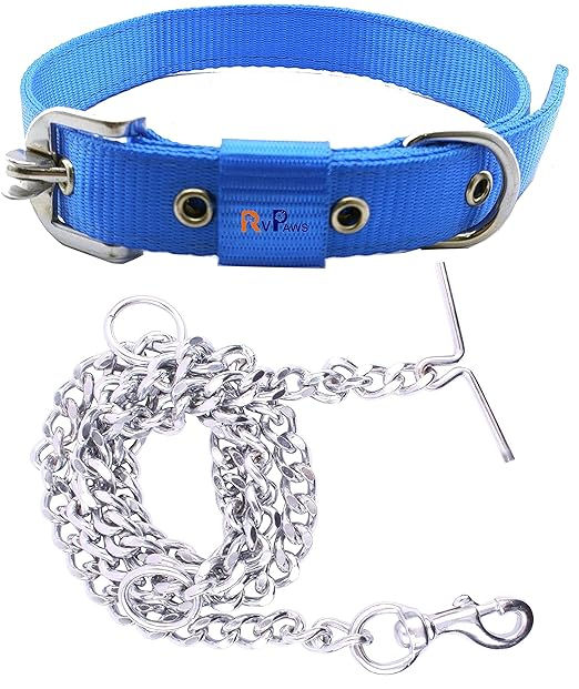 RvPaws Dog Belt Combo of 1 Inch Nylon Collar with Heavy Dog Chain