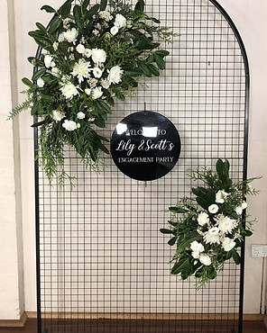 Arched Mesh Backdrop