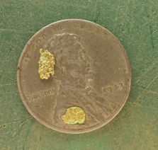 Two 12-mesh flakes on a penny