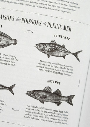 couv_bistrotier_hachette_illustration_livre_poisson_naturaliste_sophie_riviere_illustrateu