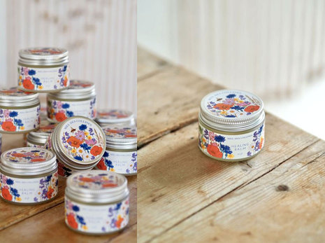 Miel_des_collines_photos_label_healing_balm_illustrateur_paris_sophie_riviere.jpeg