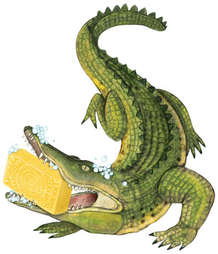 CROCO_stickers_apiscera_honey_illustration_sophieriviere.jpeg