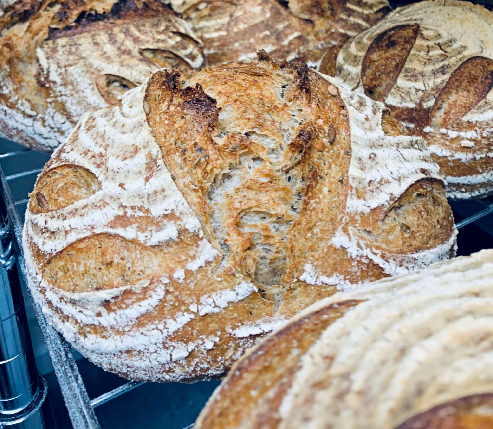 Family Seedy Rye and Caraway Sourdough