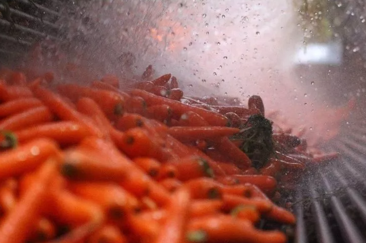 Miniatura: carota