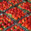 Miniatura: Fragola