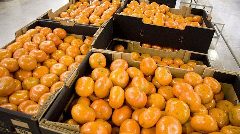 Küçük resim: Mandarin