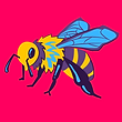 AVISPA.png