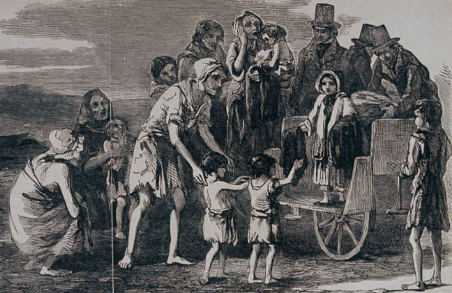 Lessons from the Irish Potato Famine