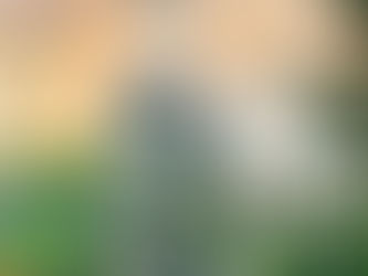 Italy Off the Beaten Path – Cremona Violin Museum