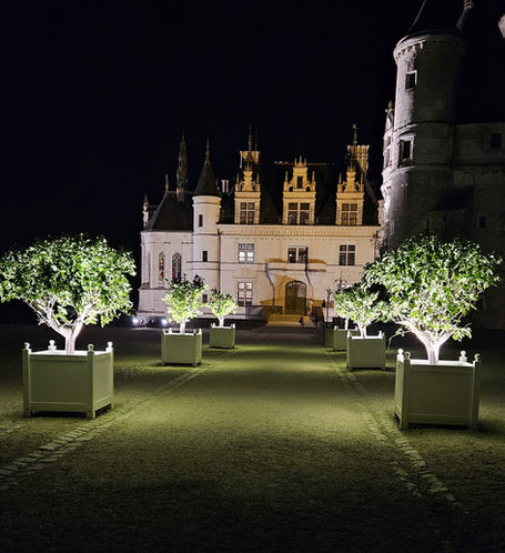 A view of Chateau de Chenonceau at night.