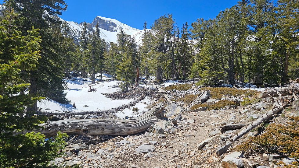 Along the Alpine Lakes Loop Trail, Great Basin National Park