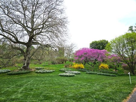 Wine and Flowers at Winterthur!