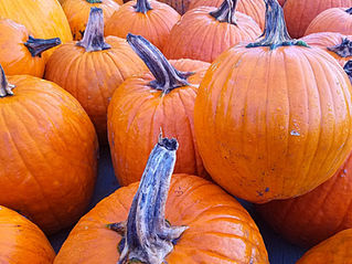5 Places to Celebrate Halloween