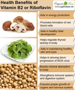 The Health Benefits Of Vitamin B2