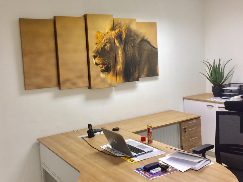 Split canvas at Orlando Safaris