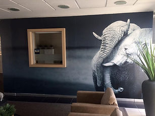 Wallpapers at WKH House in Windhoek by frametique, Namibia