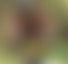 Roman Břehovský v roce 2025 opět tvrdě narazil...