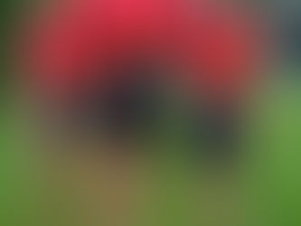 Kaláb Aquathlon Brno