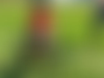 F2 duathlon, Masopust první v kategorii.