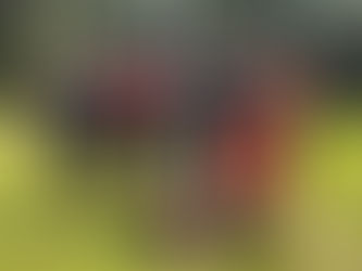 Silná sestava na triatlonu v Aši. KOME ovládlo celý závod.