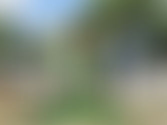 Dušek o tři minuty první! Merle nejrychlejším cyklistou! Rožánková třetí. HOPMAN TRIATLON 2022