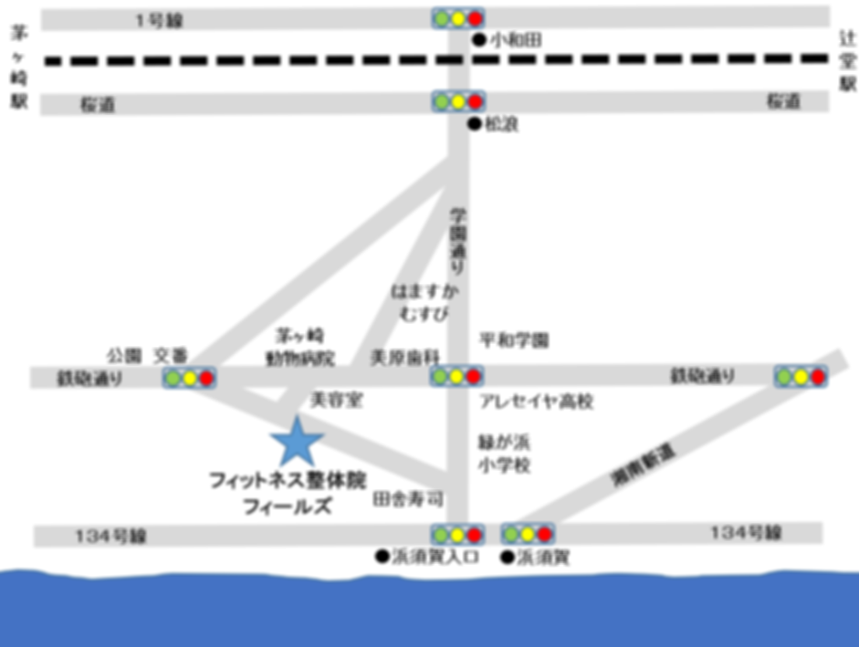 フィットネス整体院フィールズ.png
