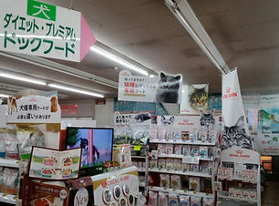 わんわん村上田店内
