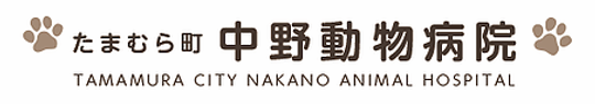 動物病院|佐波郡玉村町|たまむら町中野動物病院|トリミング
