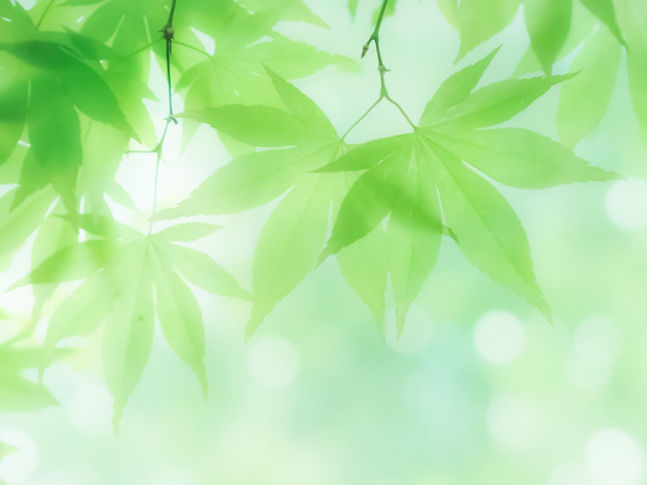 葉